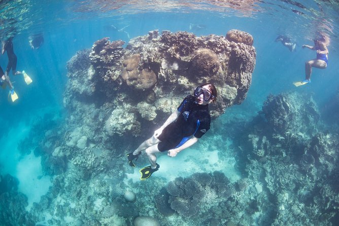 Coral Bay 2-Hour Coral Viewing and Snorkeling - Inclusions and Logistics Explained