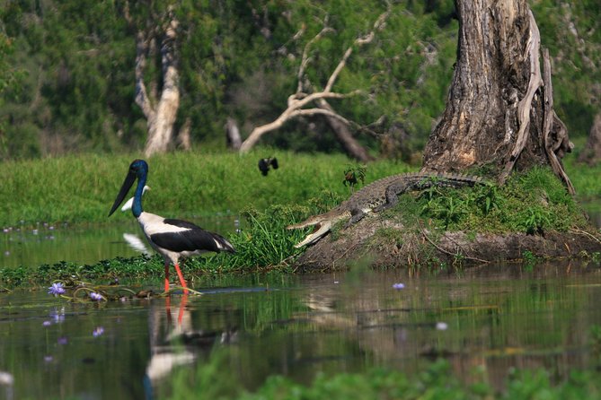 Corroboree Billabong Wetland Cruises - 1.5 Hour Morning Cruise - Meeting Point and Schedule