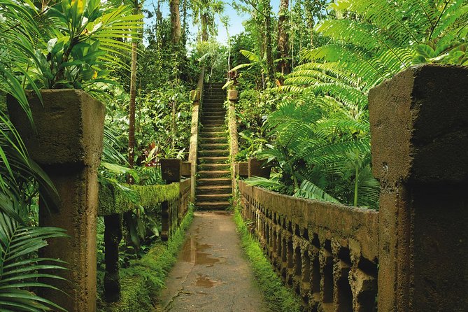 Day Tour to Paronella Park, Lake Barrine and Millaa Millaa Falls - Paronella Park Guided Tour