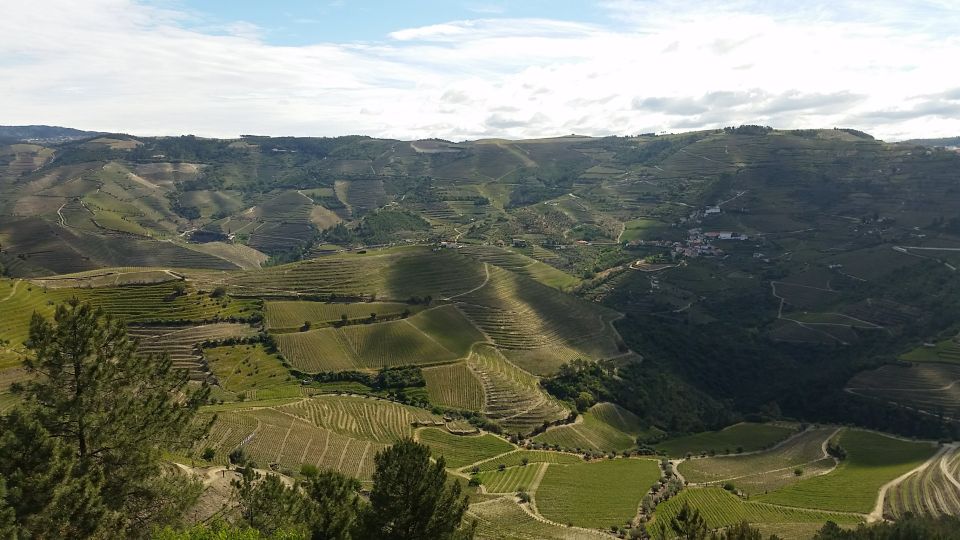 Douro Valley Private Tour - Inclusions and Highlights