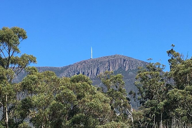 Easy Bike Tour - Mt Wellington Summit Descent & Rainforest Ride - Meeting Point and Schedule