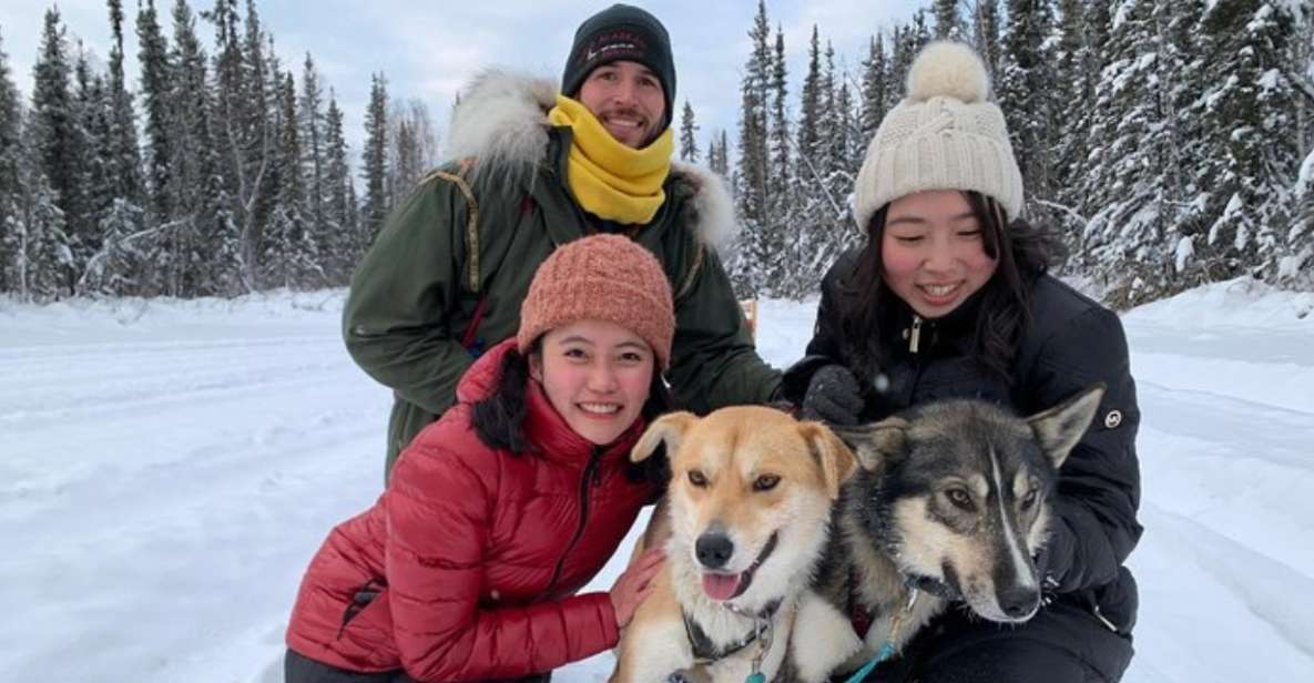 Fairbanks: Dog Sledding and Mushing Experience - Meeting Point