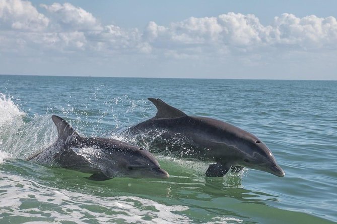 Frisky Mermaid Pontoon Boat Rentals in Pensacola Beach - Inclusions