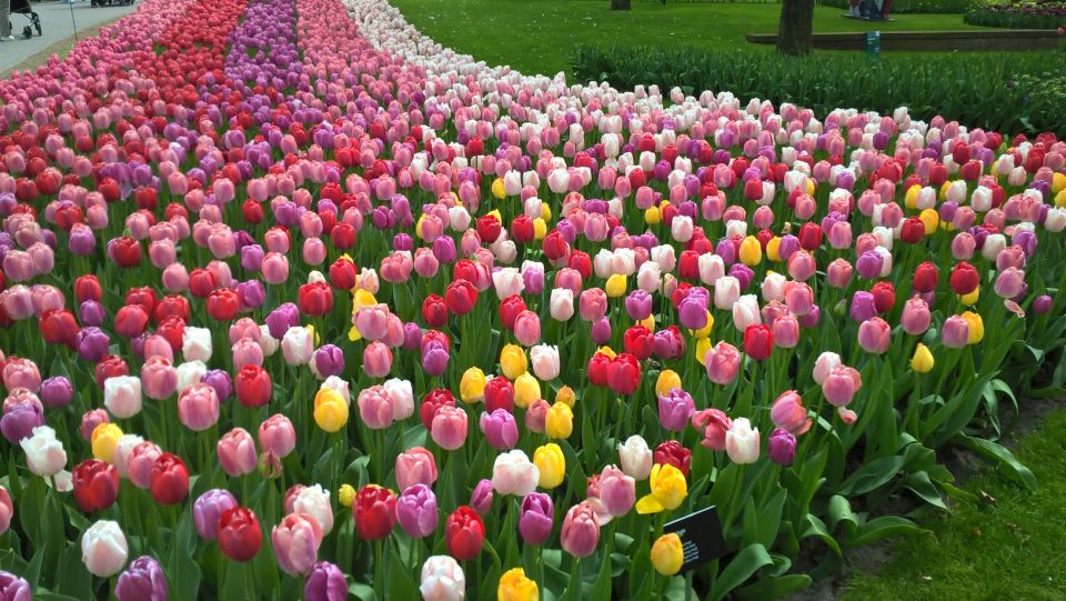 From Amsterdam: Keukenhof and Zaanse Schans Small Group Tour - Inclusions