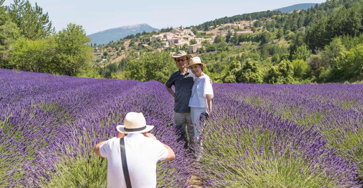 From Avignon: Half-Day Lavender Tour of Luberon - Language Options and Group Size