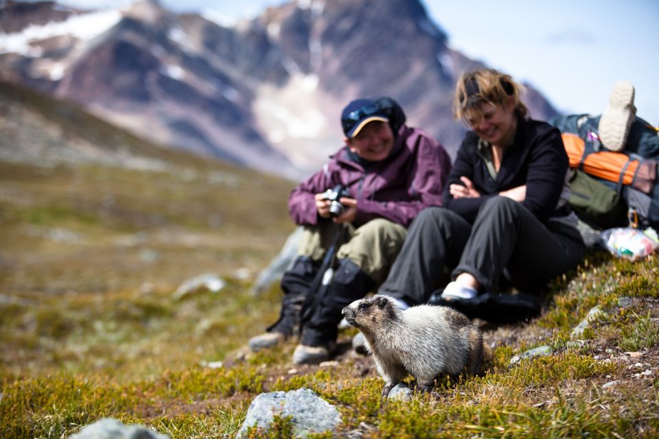 From Banff/Lake Louise: 1-Way Sightseeing Tour to Jasper - Tour Highlights