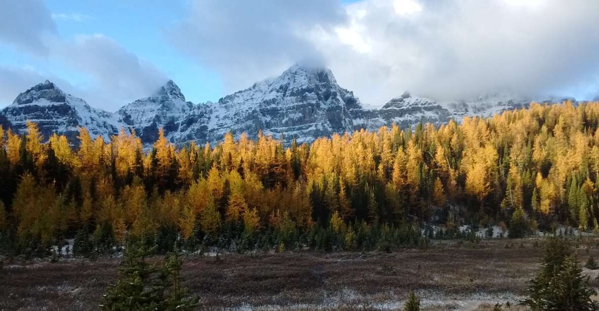 From Banff or Lake Louise: Moraine Lake & Larch Valley Hike - Full Description