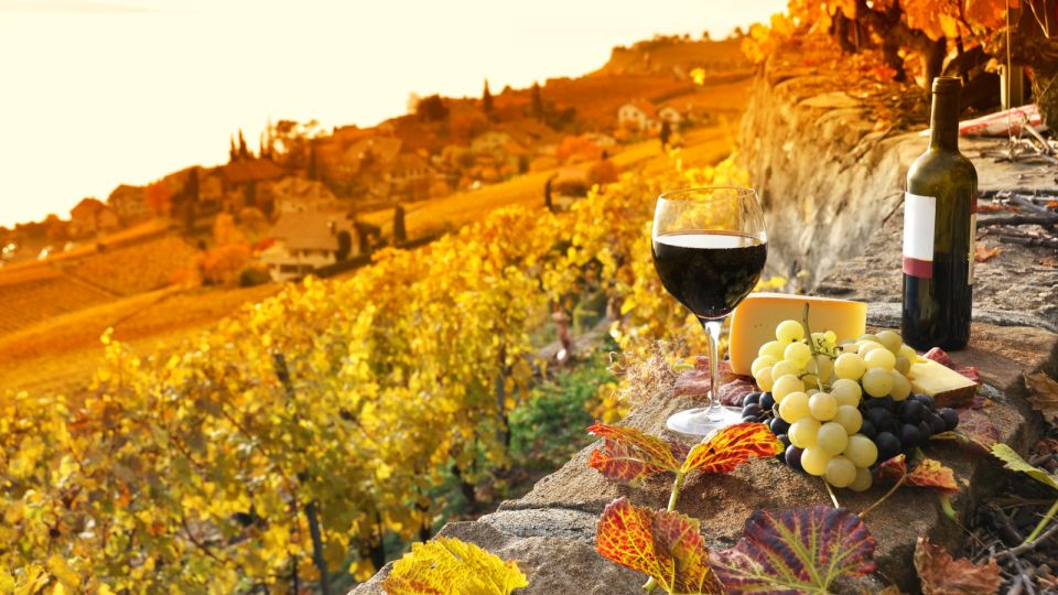 From Florence: Chianciano Evo Oil & Montepulciano Wine Tour - Activity Description