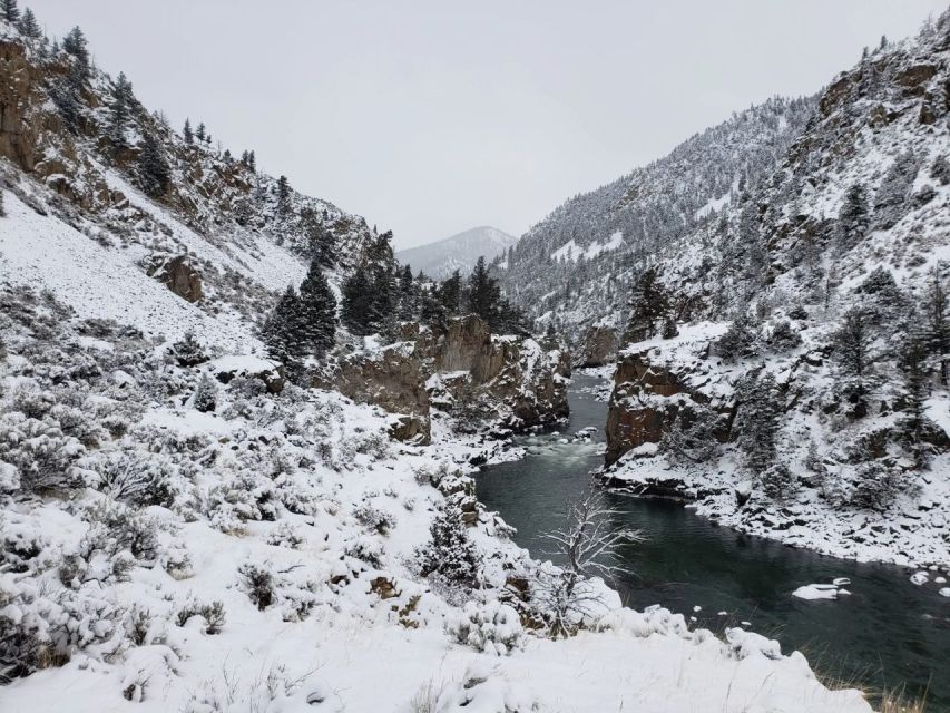 From Gardiner: Guided Yellowstone Cross-Country Skiing Tour - Experience Highlights