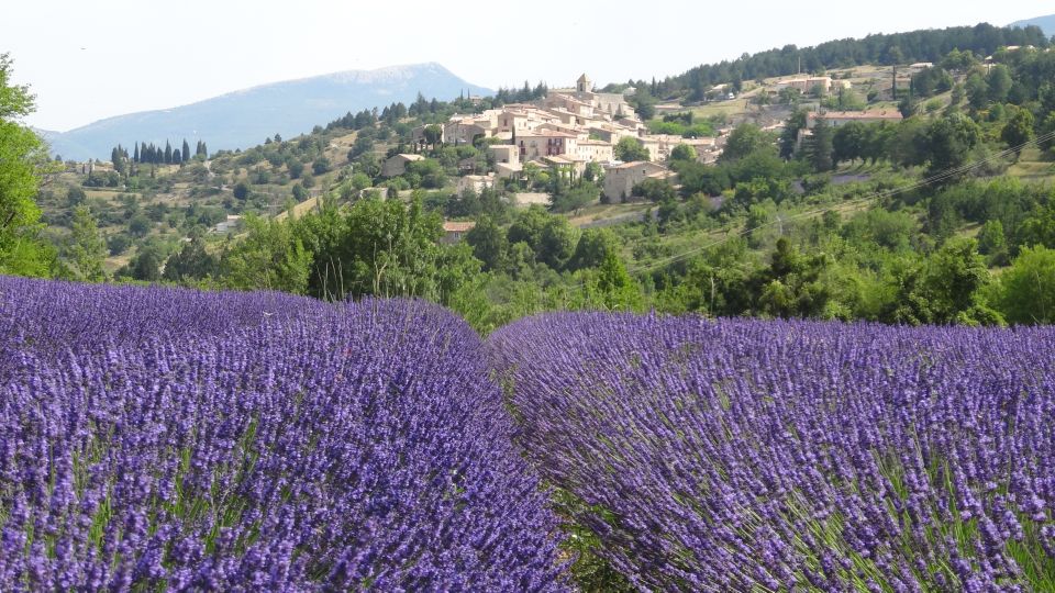 From Marseille: Lavender Full-Day Trip to Sault - Itinerary Highlights