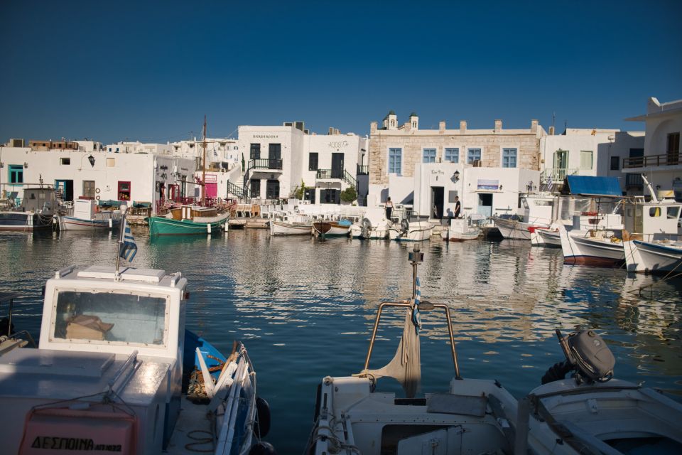 From Paros: Delos & Mykonos Full-Day Trip by Catamaran - Pricing and Inclusions