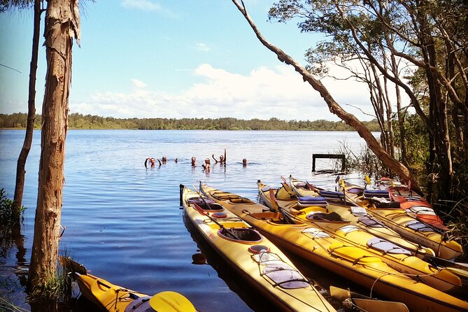 Full-Day Guided Noosa Everglades Kayak Tour - Wildlife Encounters on the River