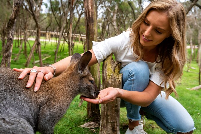 Full-Day Penguins and Wildlife Nature Experience From Melbourne - Pickup and Departure Details