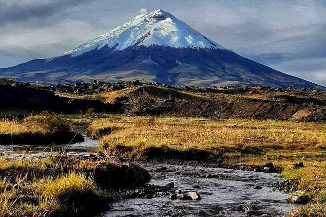 Full Day Private Cotopaxi Volcano Hike With Horse Riding Tour - Featured Review Highlights