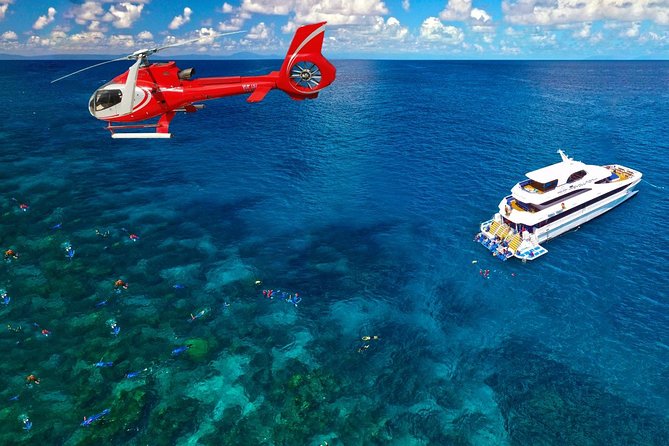 Full Day Reef Cruise and 10 Minute Helicopter Scenic Flight - What to Expect on Board