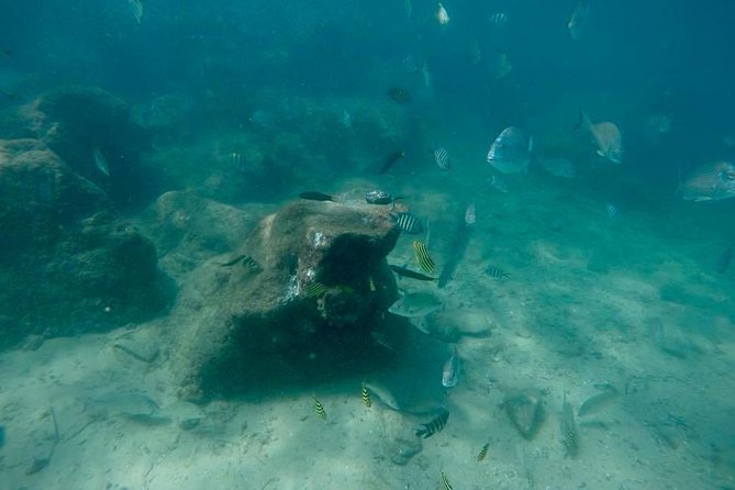 Gold Coast Try-Scuba Experience at Wave Break Island - Exploring Wave Break Island