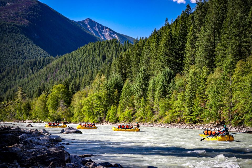 Golden, BC: Kicking Horse River Half Day Whitewater Rafting - Itinerary