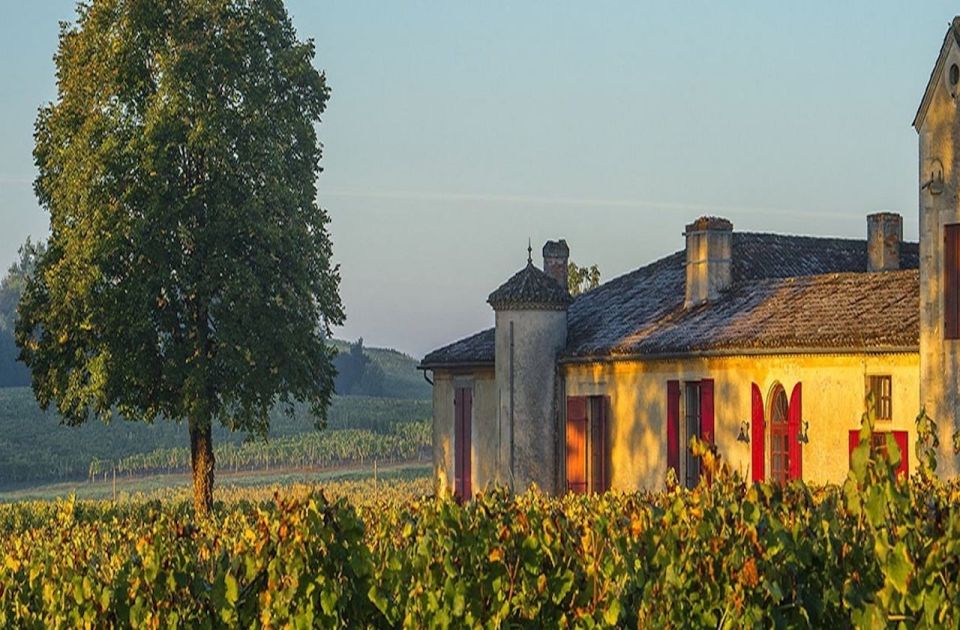 Gourmet Experience at Chateau Sigalas Rabaud Premier Cru - Itinerary Highlights