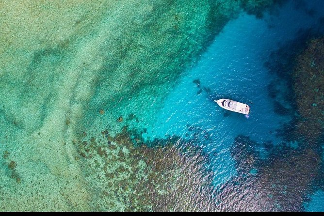 Great Barrier Reef Dive and Snorkel Cruise From Mission Beach - What to Expect Onboard