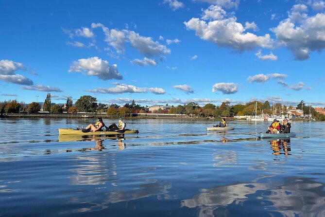 Guided Kayak Tour on Launcestons Scenic Waterfront on Foot Powered Hobie Kayaks - Scenic Views and Landmarks