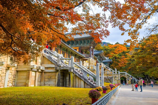 Gyeongju Full-Day Guided Tour From Seoul - What to Expect on the Tour