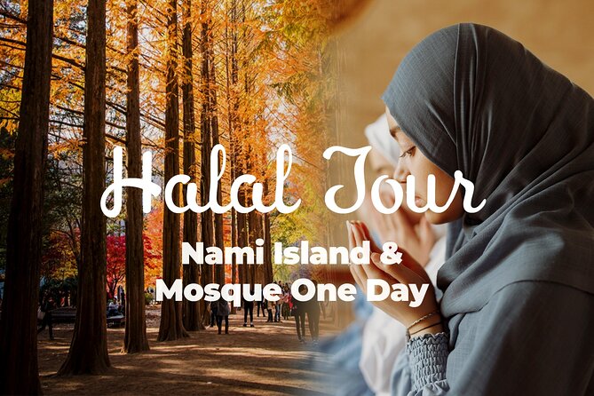 Halal-Nami Island & Central Mosque & Petite France & RailBike - Discovering Nami Islands Beauty