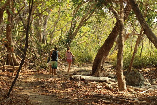 Half Day Surf and Adventure in Montezuma - Meeting and Pickup