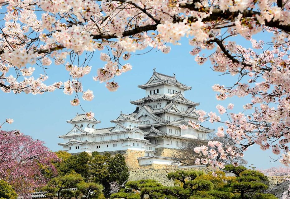 Himeji: Private Customized Tour With Licensed Guide - Experience
