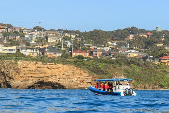 Hunter Coastal Adventure Tour by Boat From Newcastle - Wildlife and Sights to See