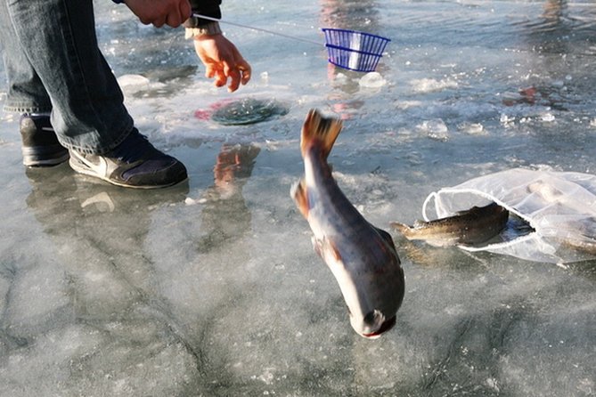 Ice Fishing Tour - Hwacheon Sancheoneo Ice Festival Day Trip From Seoul - Prepare for the Ice Festival