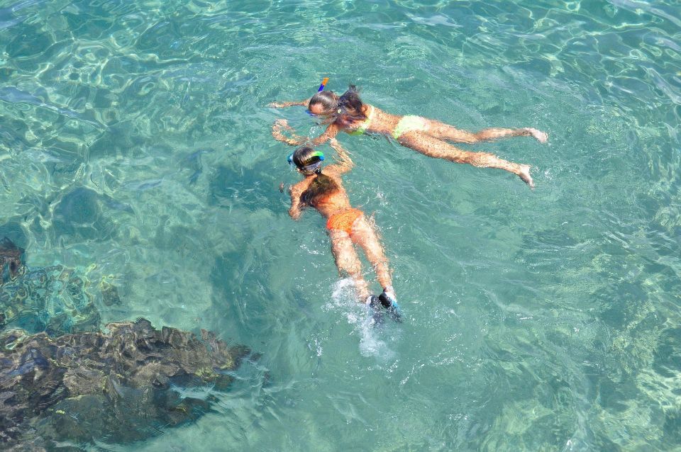 Islamorada: Snorkel Adventure & Sandbar Trip - Customer Reviews