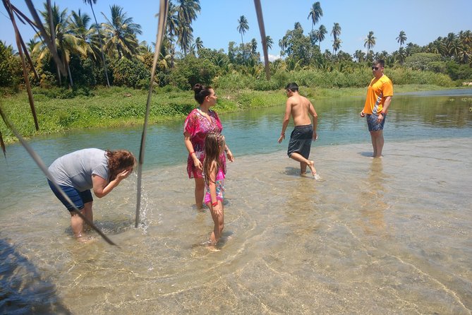 Jungle Coyuca Lagoon Boat Ride Experience & Baby Turtle Release - Traveler Experiences