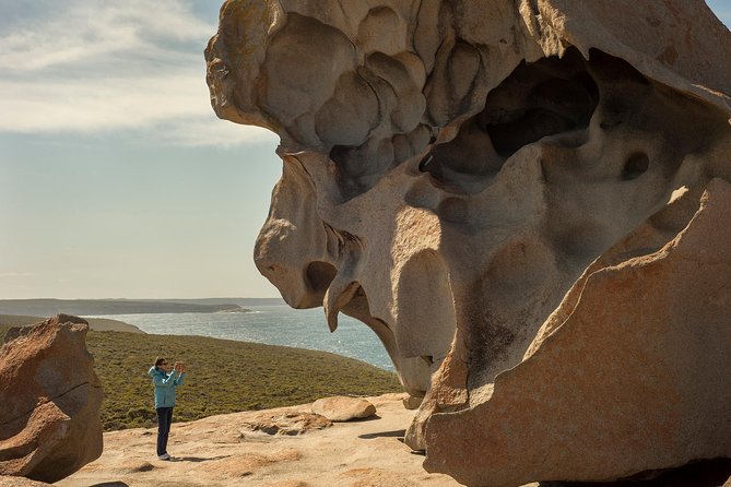 Kangaroo Island in a Day Tour From Adelaide - Meeting and Drop-Off Points