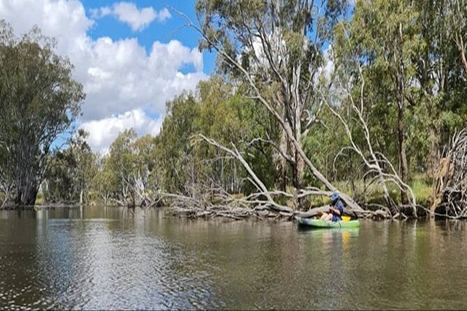 Kayak Self-Guided Tour on the Campaspe River Elmore, 30 Minutes From Bendigo - Campaspe River Scenic Route