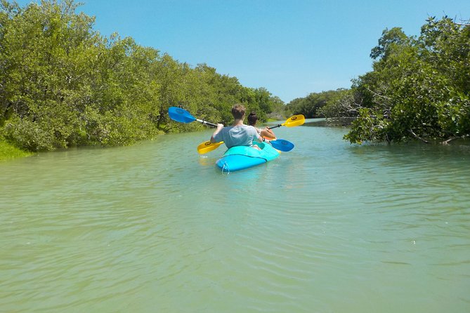 Kayaking Tour Through the Mangroves in Isla Holbox - Logistics and Policies