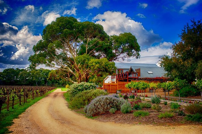 Langhorne Creek Wine Region Daytrip With Lunch From Adelaide - Itinerary and Timeframe