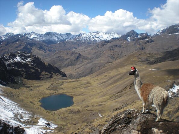 Lares Trek to Machu Picchu 4 Days With Panoramic Train - Itinerary Details