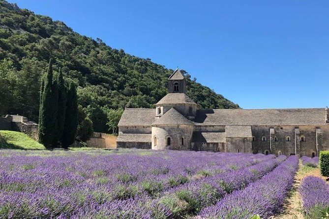 Lavender Fields Visit With Private Transportation  - Marseille - Local Lavender Museum Option