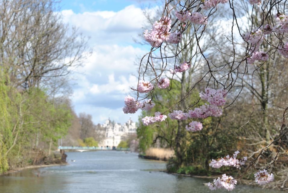 London: 4-Hour Panoramic Tour by Black Taxi - Tour Highlights