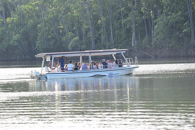 Luxury Daintree - Cape Tribulation Tour From Port Douglas - Luxury Vehicle Transportation