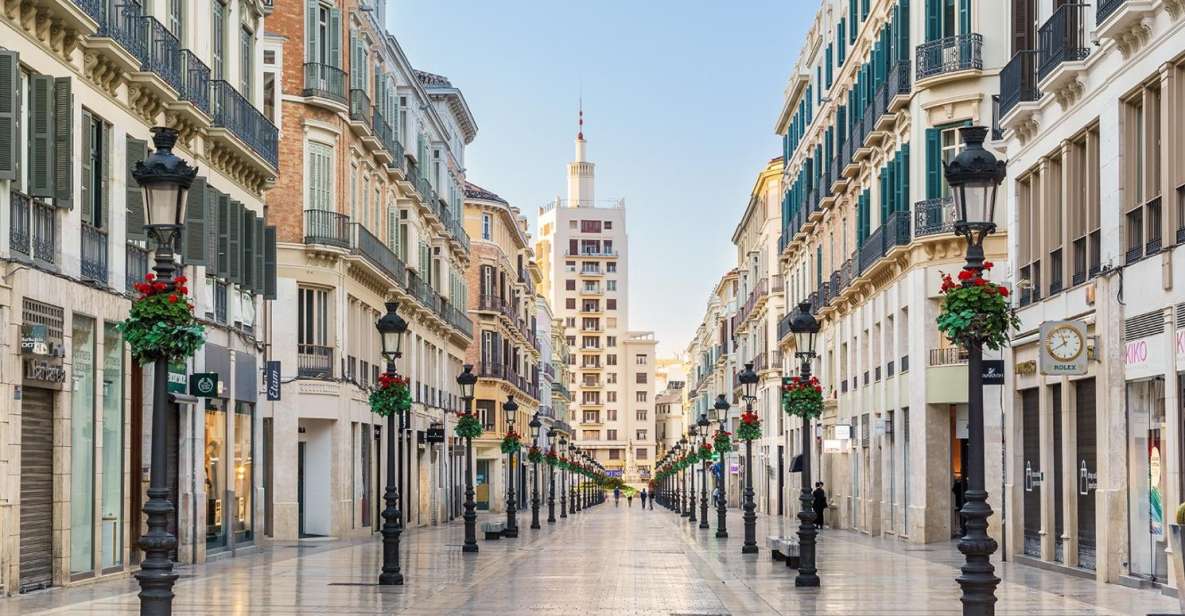 Malaga: Private and Customized Sightseeing Walking Tour - Activity Highlights