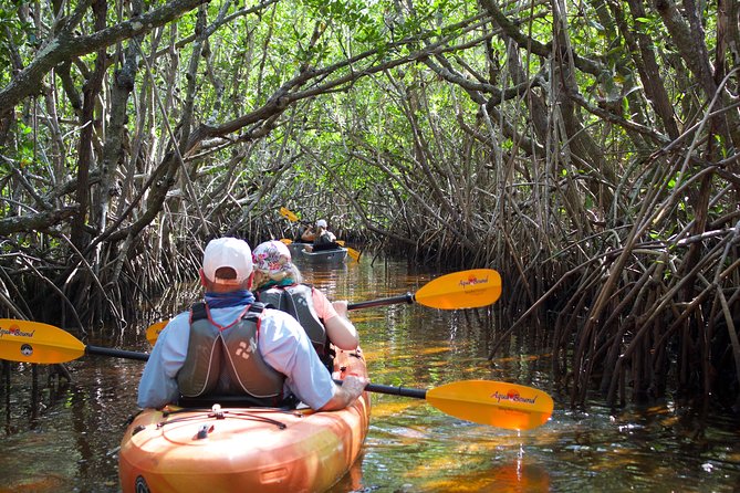 Manatees and Mangrove Tunnels Small Group Kayak Tour - Cancellation Policy