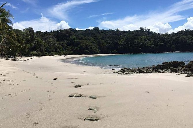 Manuel Antonio National Park Guided Tour - Inclusions