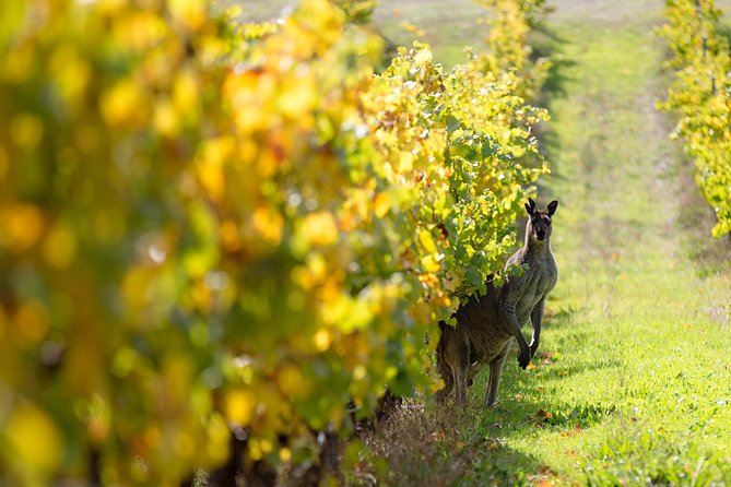 Margaret River 3 Day Escape - Scenic Delights and Tastings