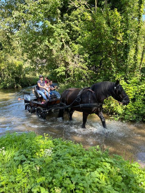 MENTHEVILLE : Horse-Drawn Carriage Ride in the Countryside - Ride Details and Logistics