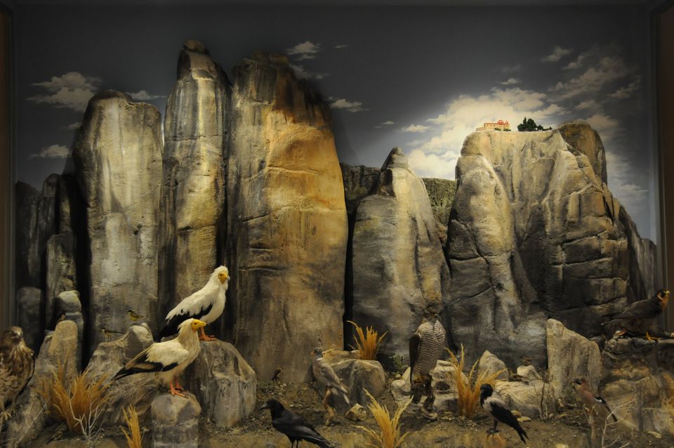 Meteora: Natural History Museum and Mushroom Museum Tour - Exploring the Museums