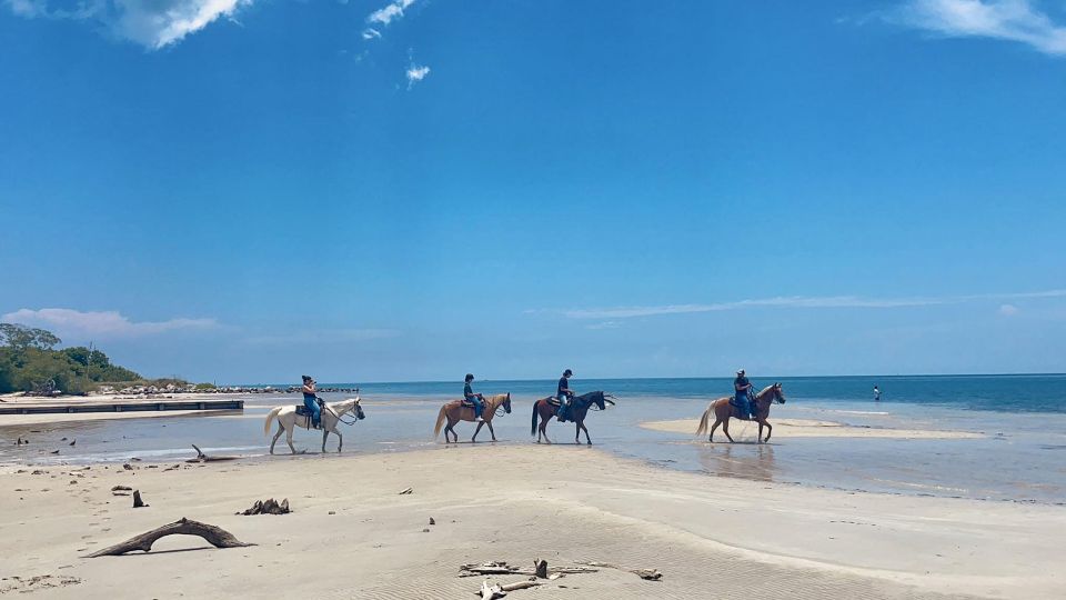 Miami: Beach Horse Ride & Nature Trail - Experience Highlights