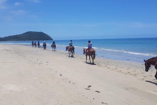 Mid-Morning Beach Horse Ride in Cape Tribulation - Exploring the Daintree Rainforest