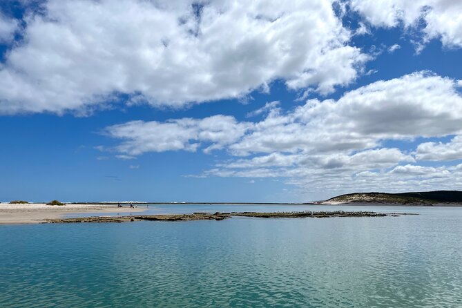 Morning Cruise on the Murchison River in Kalbarri (April to Nov) - Wildlife and Scenic Highlights