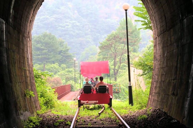 Nami Island & Garden of Morning Calm & Gangchon Railbike Tour - Inclusions and Tour Logistics